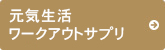 元気生活 ワークアウトサプリ